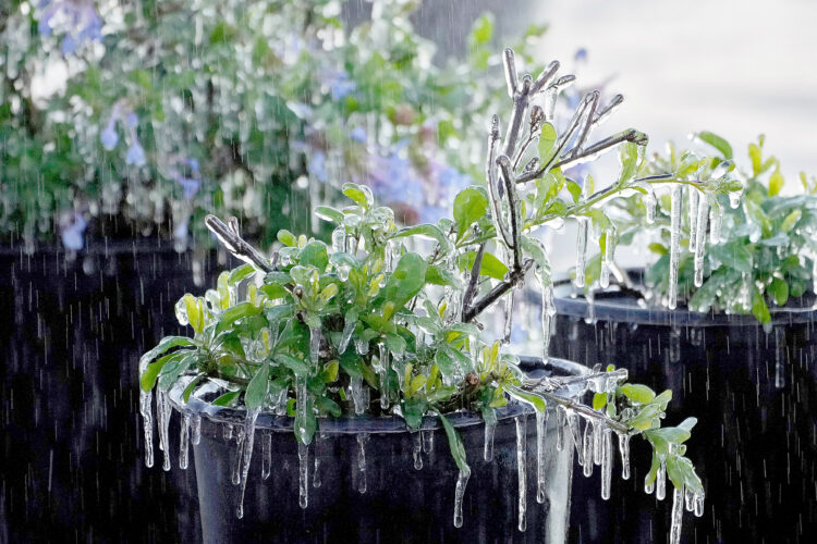 Blast of winter weather hits Midwest, East Coast